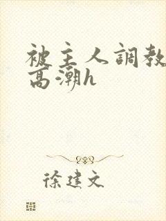 被主人调教当众高潮h封面