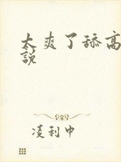 太爽了舔高h小说封面