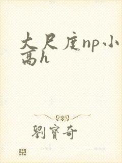 大尺度np小说高h