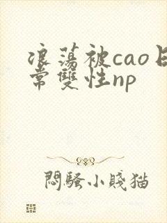 浪荡被cao日常双性np