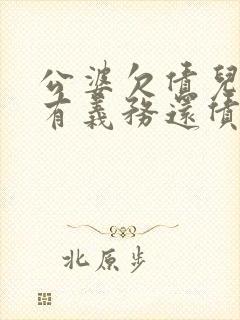 公婆欠债儿媳妇有义务还债吗封面