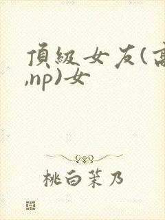 顶级女友(高h,np)女