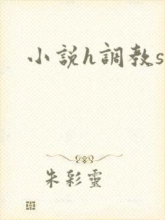 小说h调教sm