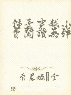 钟青穿越小说免费阅读无弹窗封面