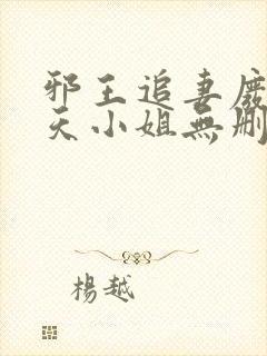 邪王追妻废材逆天小姐无删减