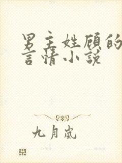 男主姓顾的现代言情小说