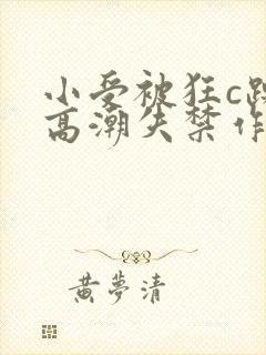 小受被狂c躁到高潮失禁作文封面