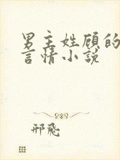 男主姓顾的现代言情小说