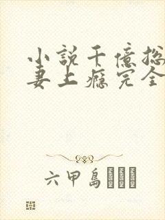 小说千亿总裁宠妻上瘾完全版