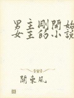 男主刚开始想杀女主的小说