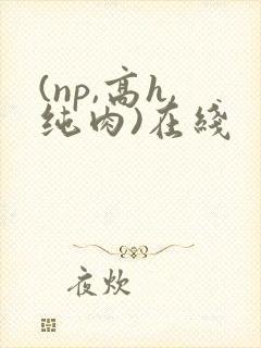 (np,高h,纯肉)在线