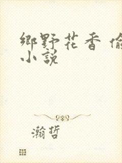 乡野花香 偷香小说封面