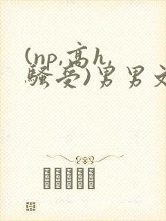 (np,高h,骚受)男男文