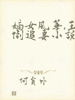 嫡女风华,王爷倒追妻小说封面