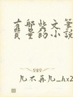 有哪些文笔好高质量的小说推荐