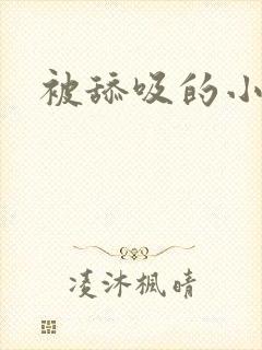 被舔吸的小说