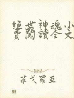 绝世神魂小说免费阅读全文无弹窗