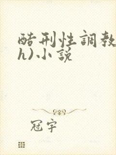 酷刑性调教(高h)小说封面