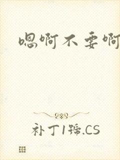 嗯啊不要啊辣文封面