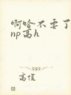 啊哈不要了男男np高h