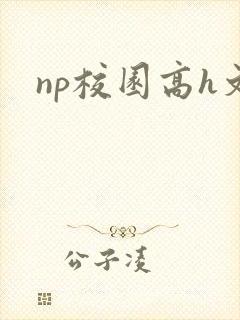 np校园高h文