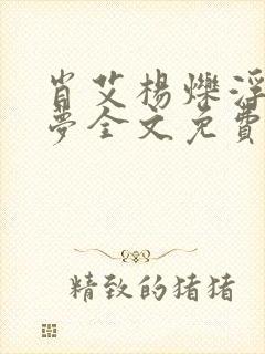 肖艾杨烁浮华逝梦全文免费阅读笔趣阁