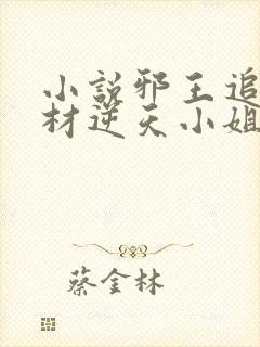 小说邪王追妻废材逆天小姐