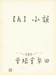 【h】小说封面