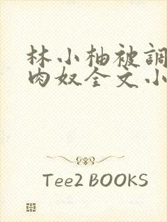 林小柚被调教成肉奴全文小说封面