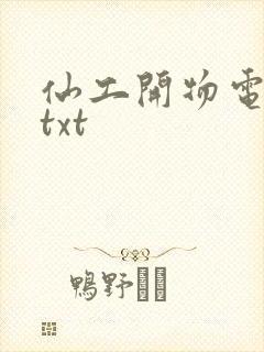 仙工开物电子书txt