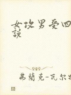 女攻男受四爱小说