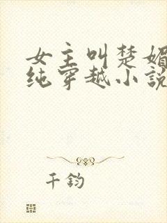 女主叫楚媚的清纯穿越小说