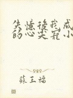 失忆后我成为他的心尖宠小说