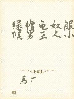 绿帽龟奴服侍伺候男主人小说封面