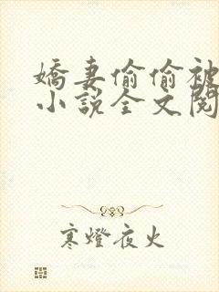 娇妻偷偷被人骑小说全文阅读封面