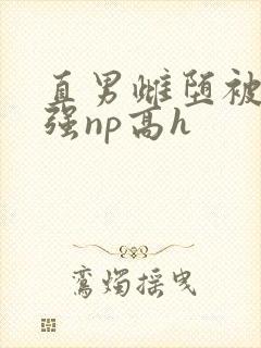 直男雌堕被疯批强np高h