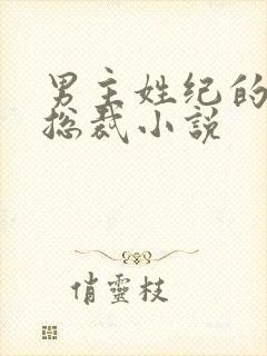 男主姓纪的霸道总裁小说