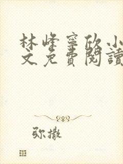 林峰宁欣小说全文免费阅读最新章节晚安阁