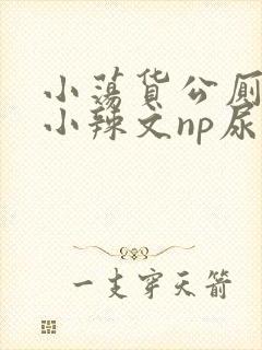 小荡货公厕h文小辣文np尿