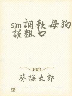sm调教母狗小说粗口