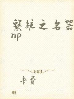 系统之名器攻略np