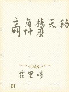 主角杨天的小说叫什么