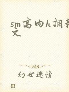 sm高肉h调教文封面