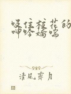 吸住校花的奶头呻吟娇喘封面