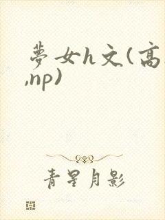 梦女h文(高h,np)封面