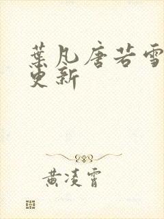 叶凡唐若雪王婿更新