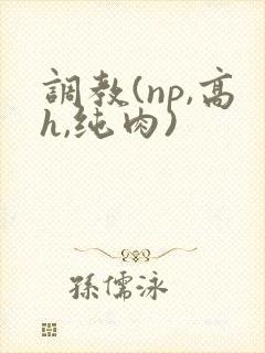 调教(np,高h,纯肉)封面