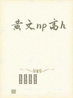 黄文np高h