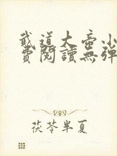 武道大帝小说免费阅读无弹窗