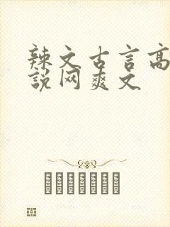 辣文古言高辣小说网爽文封面